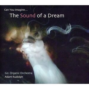 Adam Rudolph - Go: Organic Orchestra - Can You Imagine The Sound Of A Dream